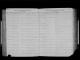 Alfred Larsen and Agnes Gypp - Marriage in 1924 (Michigan, County Marriages, 1820-1940)