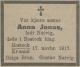 Anna Jonas f. Natvig - Dødsannonse i Fædrelandsvennen den 19. november 1917