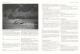 Bjerkreimboka - folket og eigedomane gjennom dei siste fem hundre åra - Bind 3 (Risa, Lisabet, 2000) - Side 1940-1941 Bjerkreimboka - folket og eigedomane gjennom dei siste fem hundre åra - Bind 3 (Risa, Lisabet, 2000) - Side 1940-1941