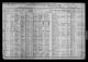 Bridget Foley, nee Burke (1850-1915) with family - United States Census 1910