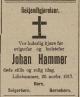 Johan Hammer (1843-1917) - Dødsannonse i Folketidende, lørdag 24. november 1917