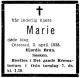Marie Sophie Fredrikke Brun (1907-1938) - Dødsannonse i Aftenposten den 6. april 1938