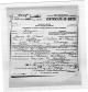 Nelson Henry Baie (1919-) - Affidavit to accompany a certificate of an unreported birth (Illinois, Cook County, Birth Certificates, 1871-1949)