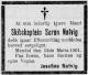 Søren Natvig (1846-1901) - Dødsannonse i Morgenbladet den 18. mars 1901 Søren Natvig (1846-1901) - Dødsannonse i Morgenbladet den 18. mars 1901