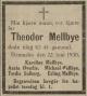 Theodor Nicolay Mellbye (1867-1930) - Dødsannonse i Agderposten, tirsdag 24. juni 1930
