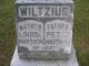 Peter Wiltzius and Louise Koeppler - Gravestone